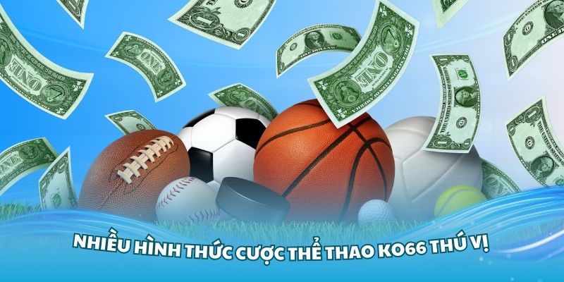 Khám phá nhiều hình thức cược thể thao KO66 thú vị