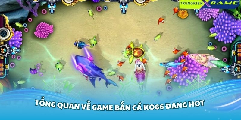 Tổng quan về game bắn cá KO66 đang hot