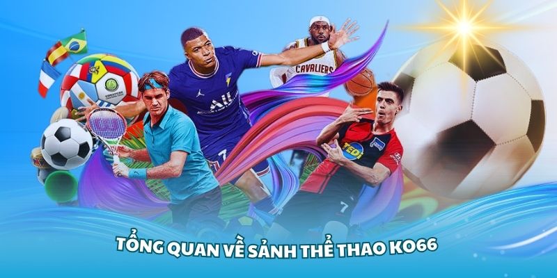 Khám phá tổng quan về sảnh thể thao KO66